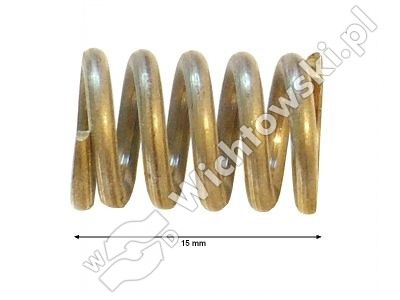 Nozzle Seal Spring - 4100.533